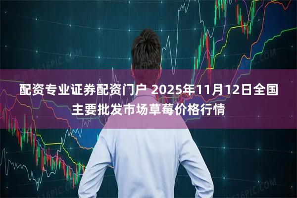 配资专业证券配资门户 2025年11月12日全国主要批发市场草莓价格行情